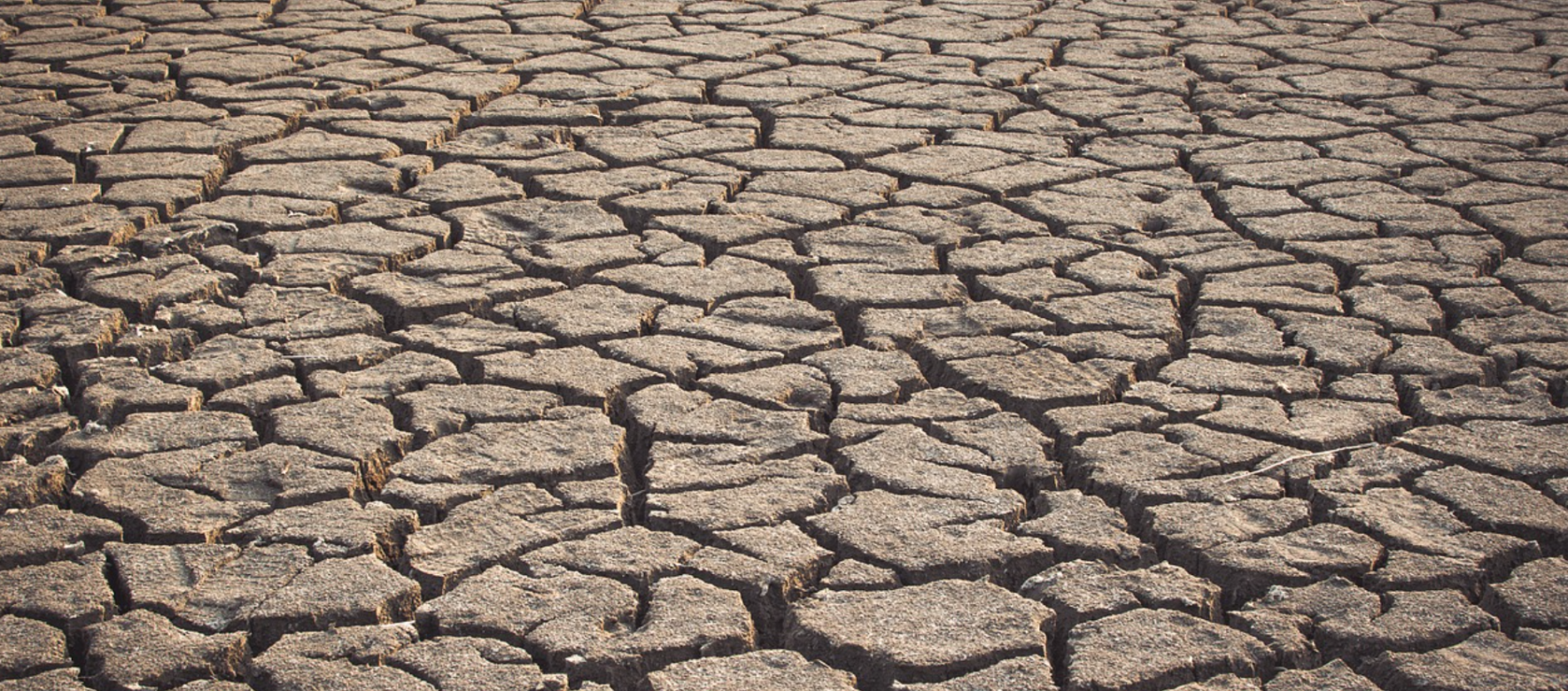 SECHERESSE CLIMAT