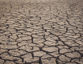 SECHERESSE CLIMAT