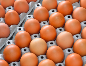 oeufs