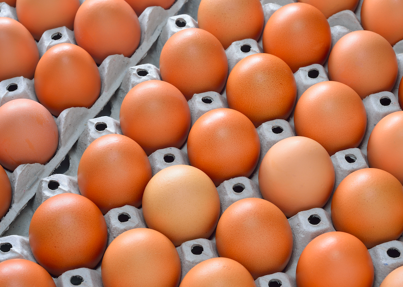oeufs