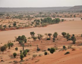 Niger Niamey Dunes 3 landscape