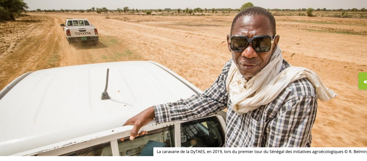 SÉNÉGAL CIRAD BIS