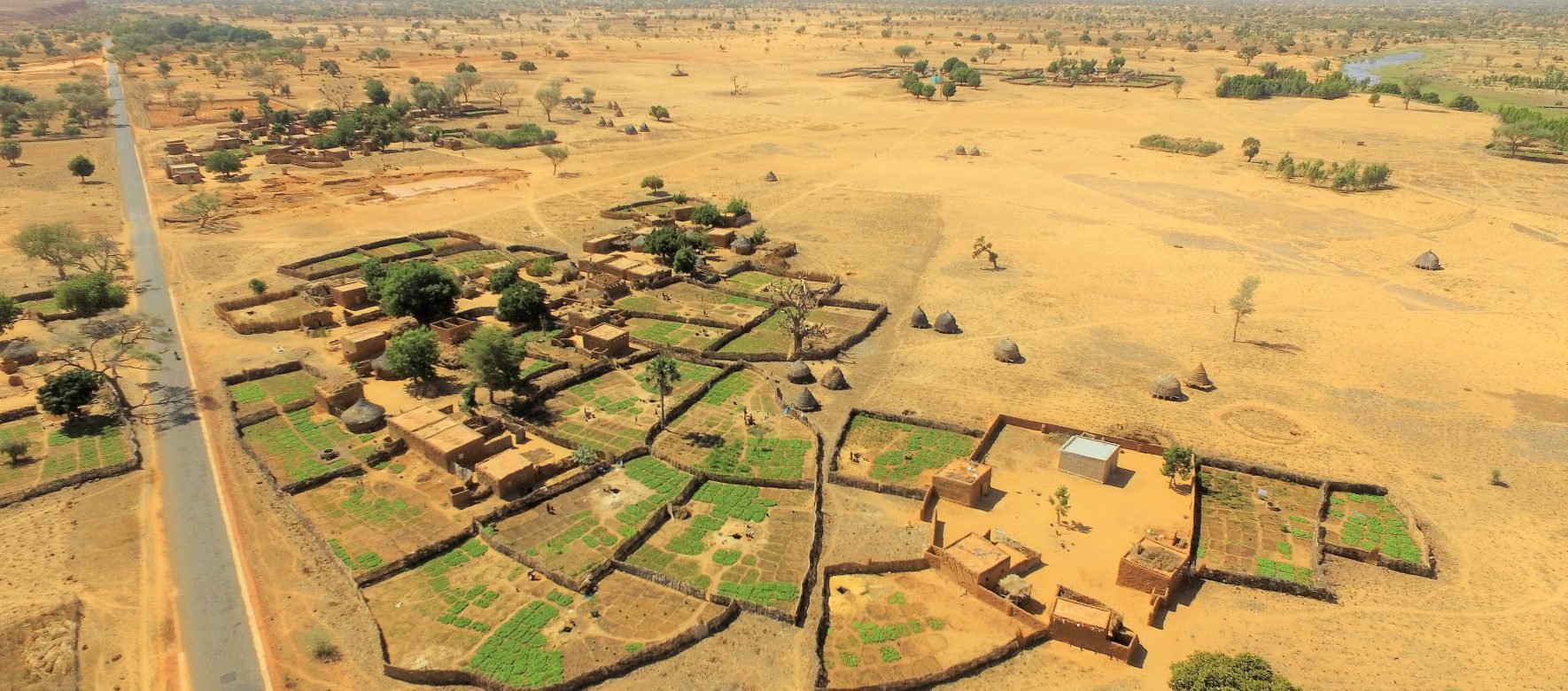 Niger Tcheringui 6 vegetable gardens