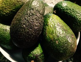 avocados g6f89772d6 1280