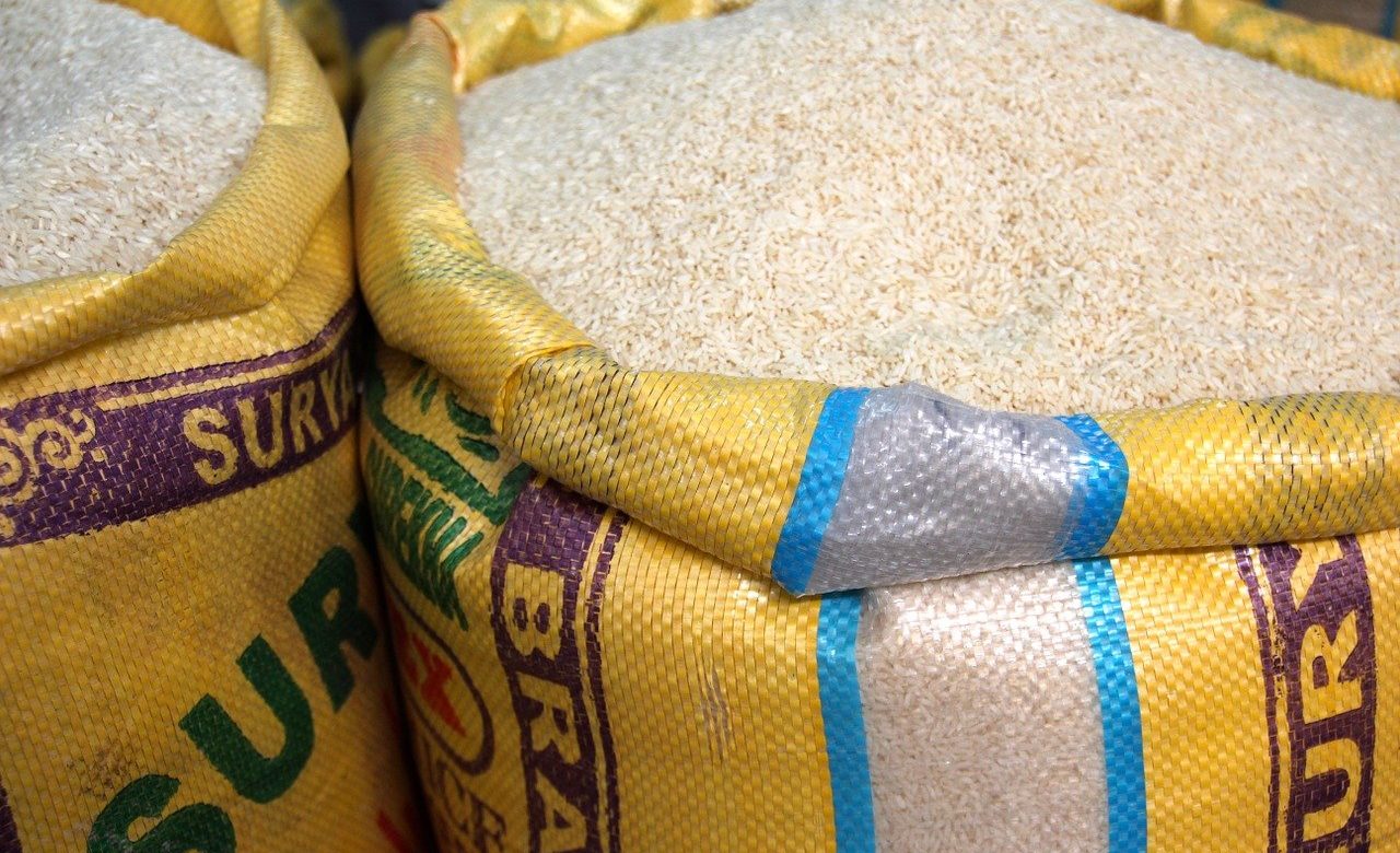 rice g928a56528 1280