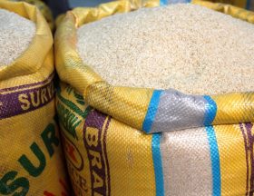 rice g928a56528 1280