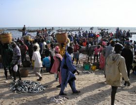 senegal 1852316 960 720