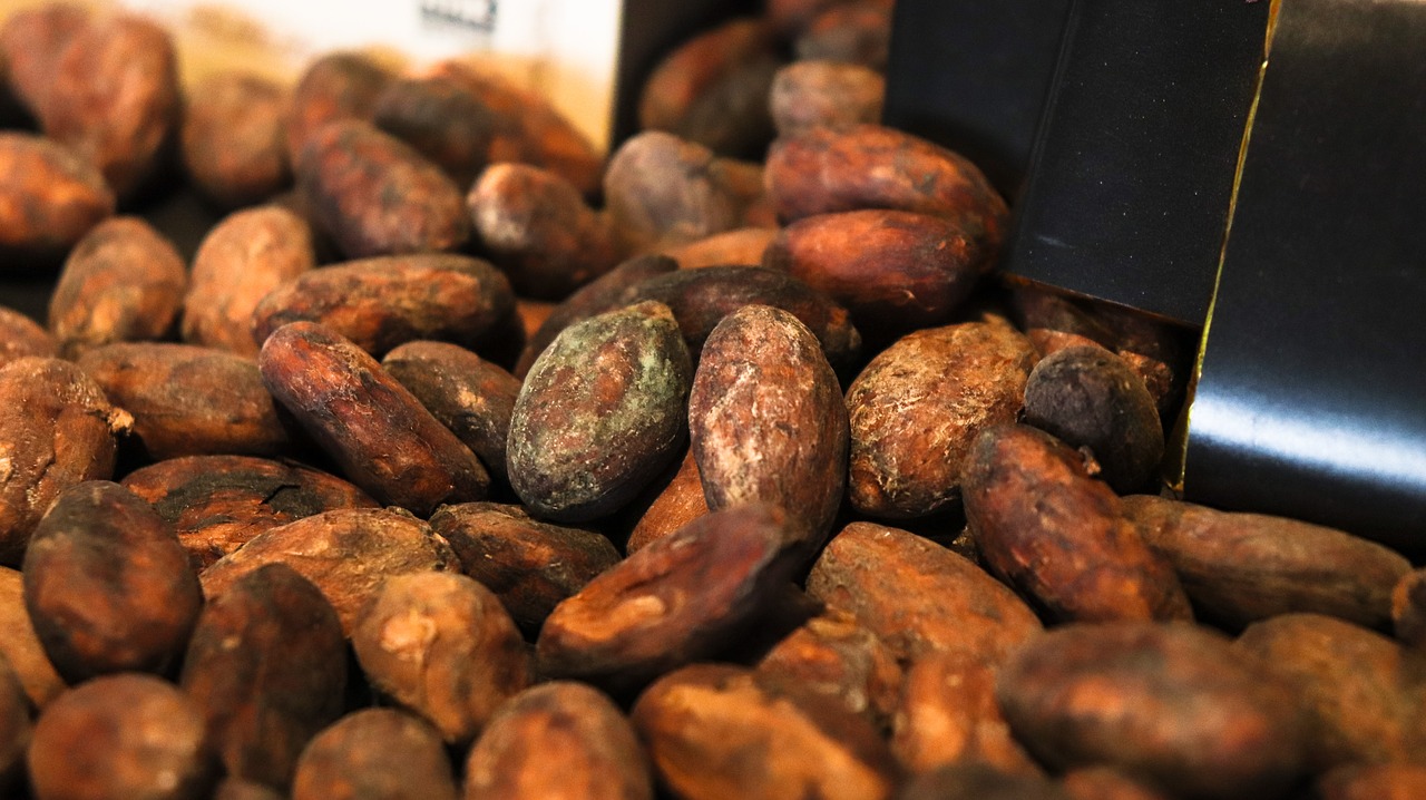 cacaobean 4000301 1280