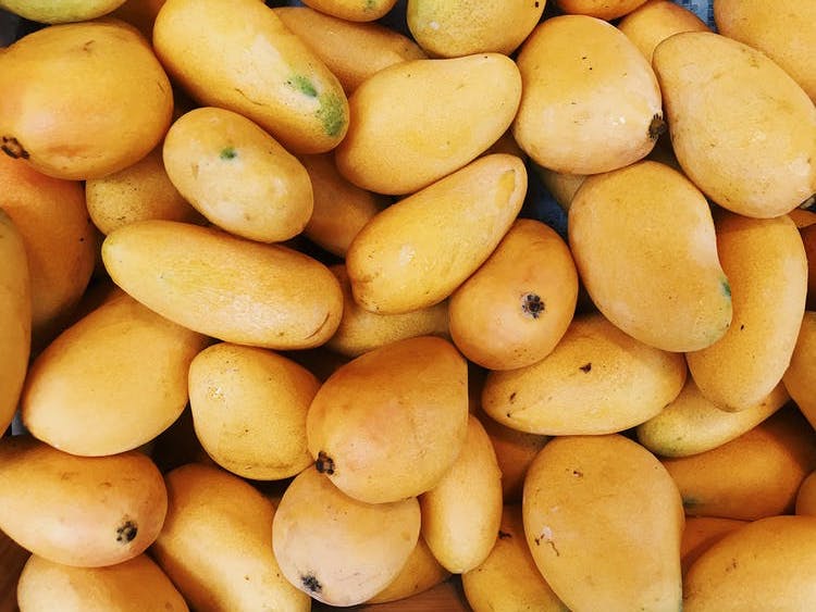 mangue