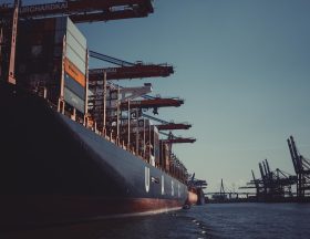 pexels sascha hormel 1095814
