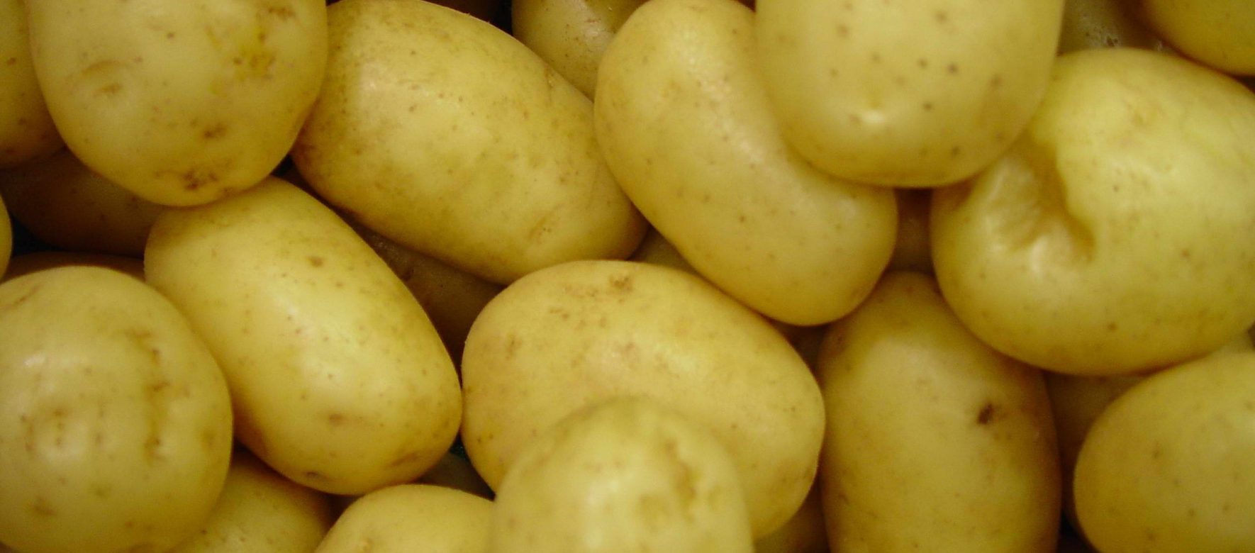 pommes de terre