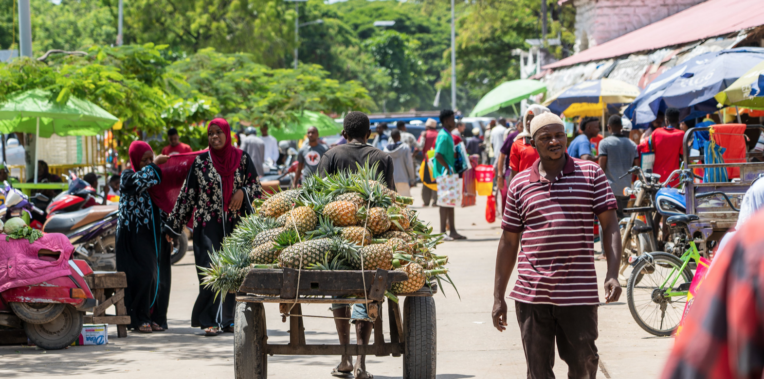 tanzanie