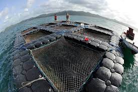 aquaculture