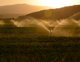 irrigation