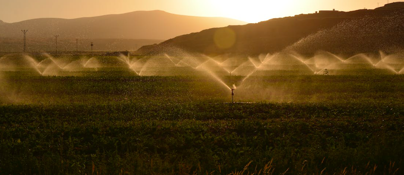 irrigation