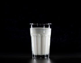 Lait