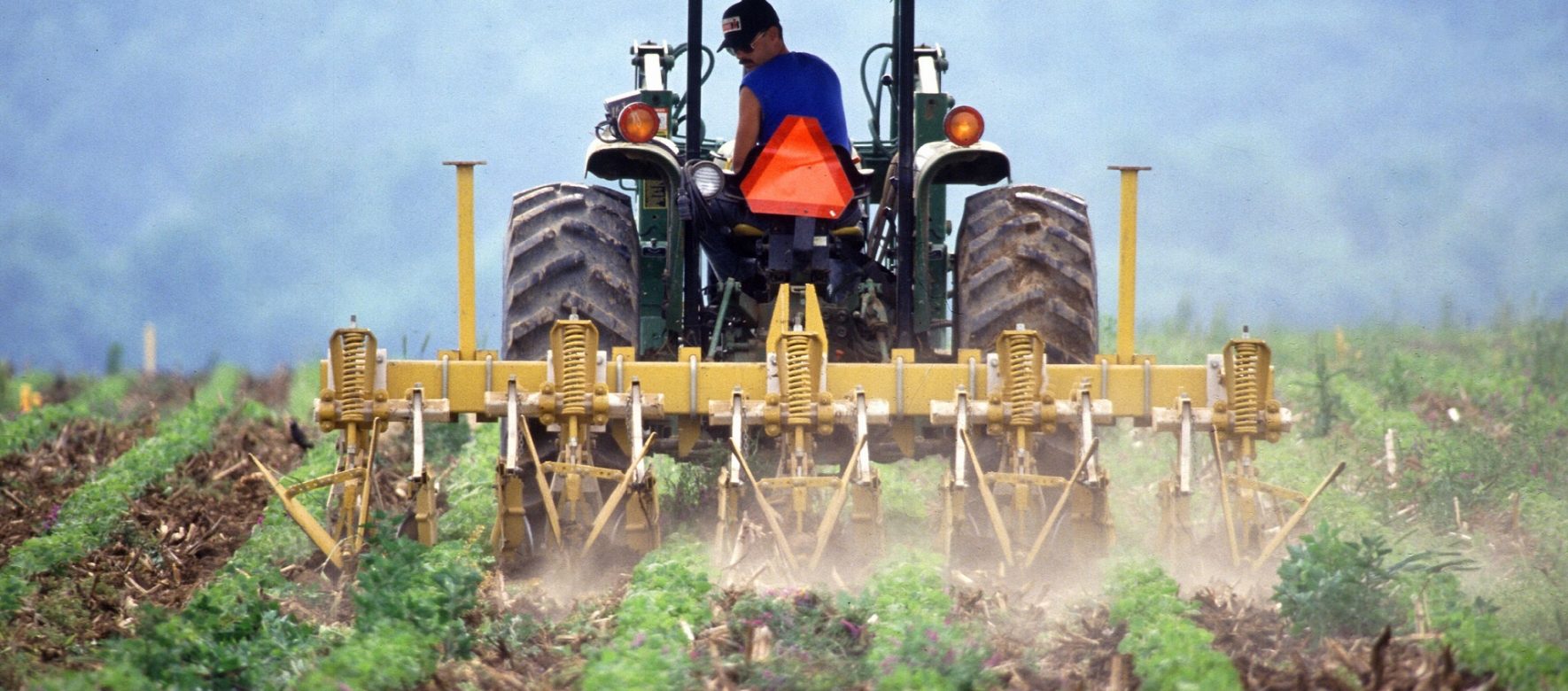 farming