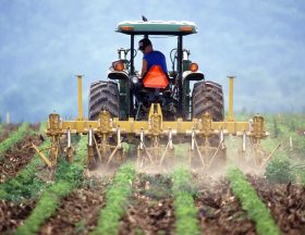 farming