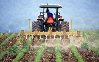 farming