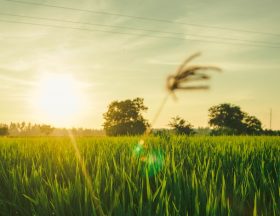 fauzan saari lT7n6V9OGgQ unsplash