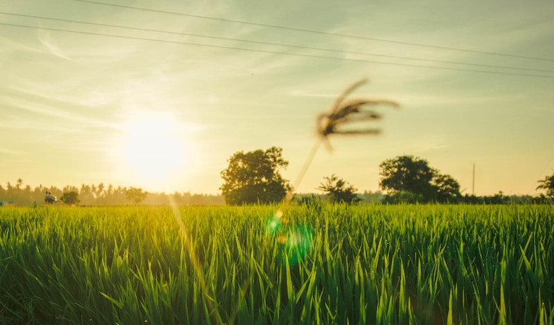 fauzan saari lT7n6V9OGgQ unsplash