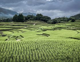 rice terraces 6563342 1280