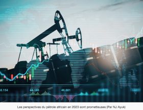 Afrique Petrole 1