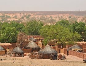 Niger Sokorbey 8