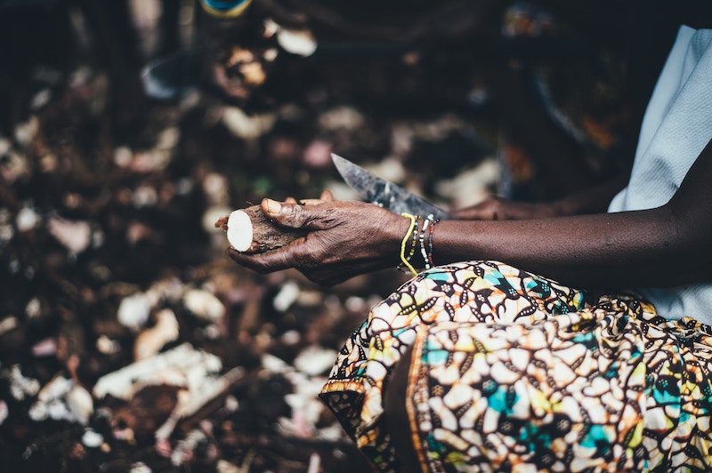 annie spratt ZgHEZLVec9g unsplash