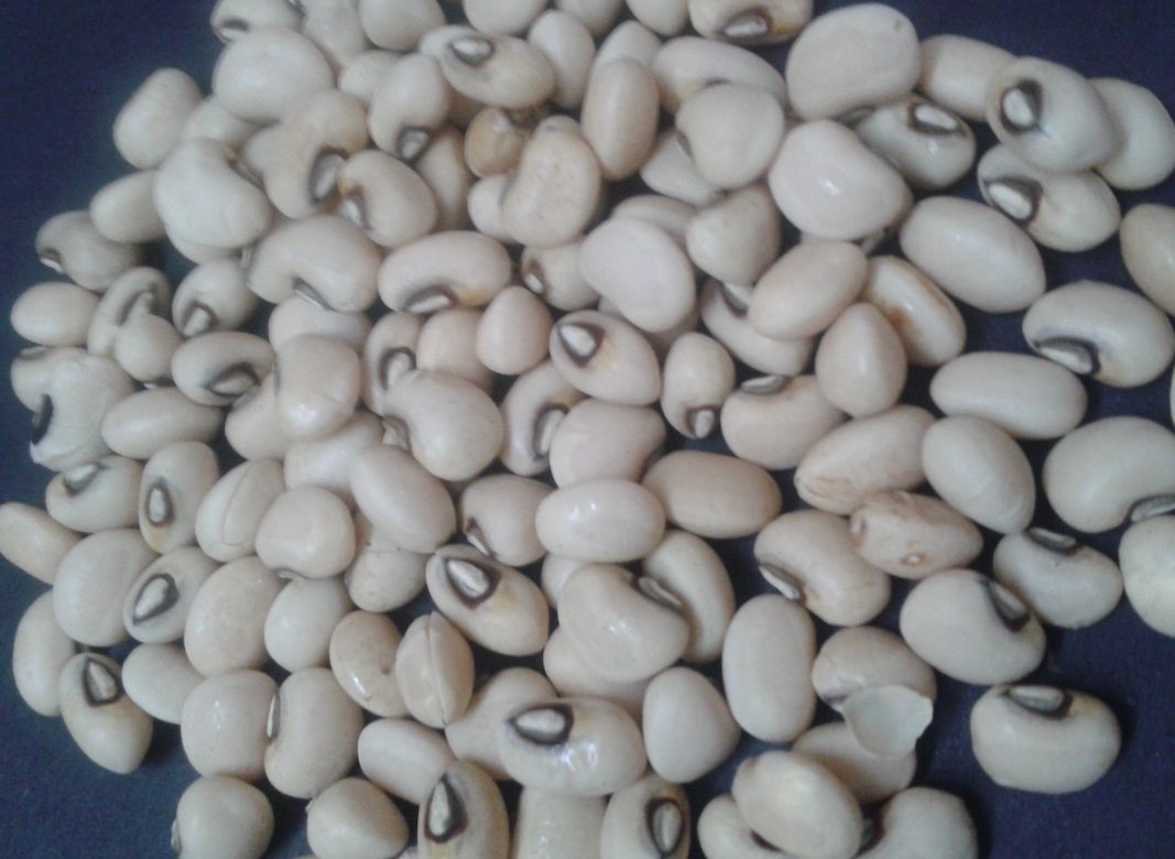 5 காராமணி Vigna unguiculata