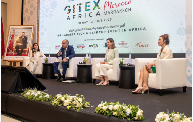 Afrique Gitex Africa 1