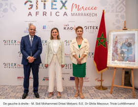 Afrique Gitex Africa 2