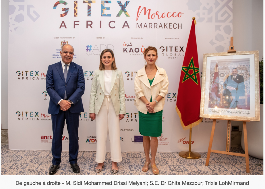 Afrique Gitex Africa 2