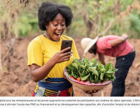 Kenya Jeunes Entrepreneurs UE