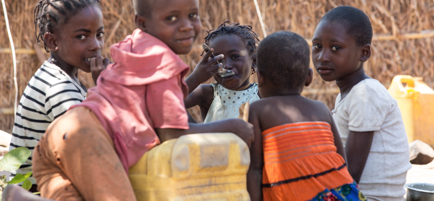 AFRIQUE Sécurité alimentaire