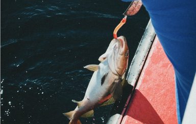 pêche