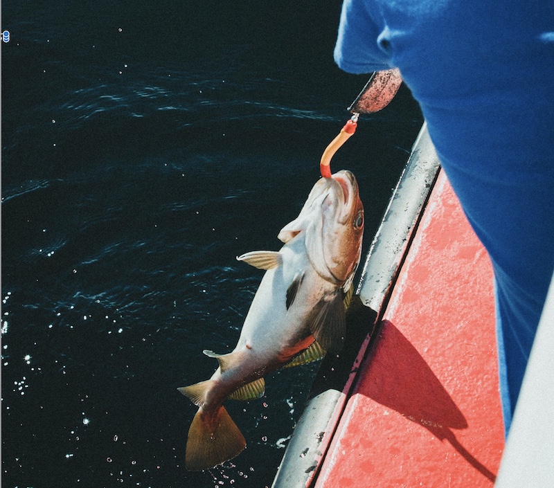 pêche