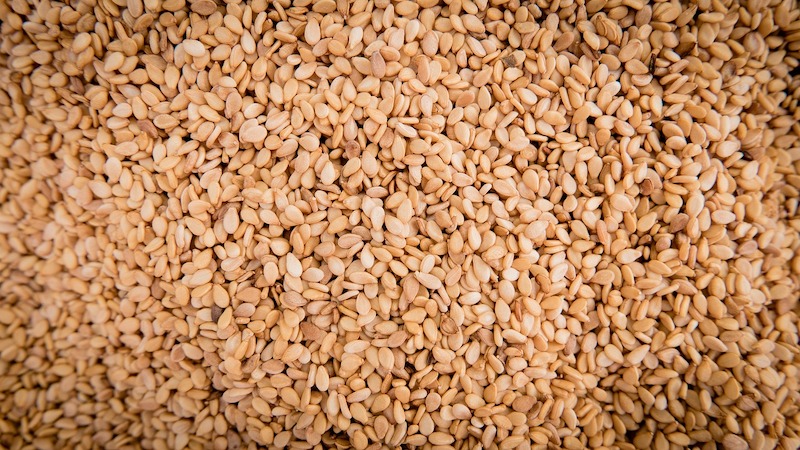 sesame 1627009 1280