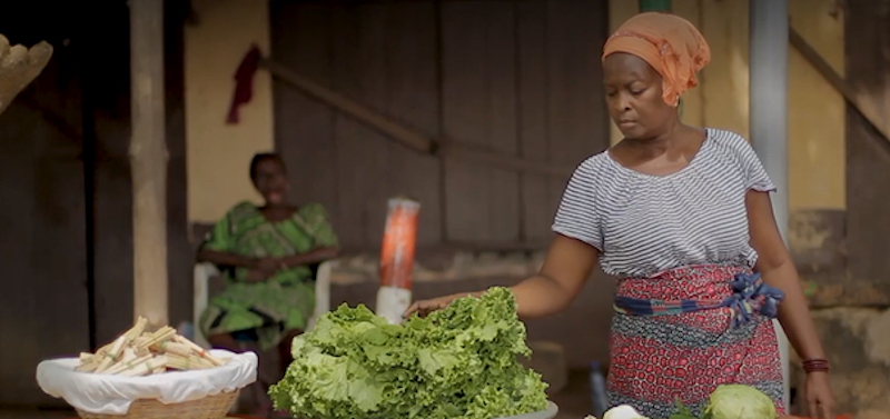 TOGO Inclusion financière 2