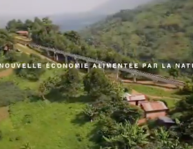 CONGO CREATION D'EMPLOI 5