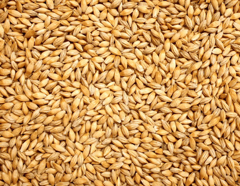 cereales malt