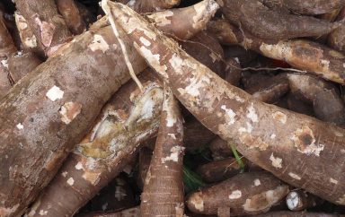 Praia Manioc