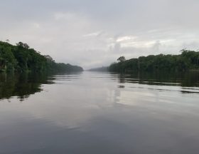 bassin congo