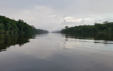 bassin congo