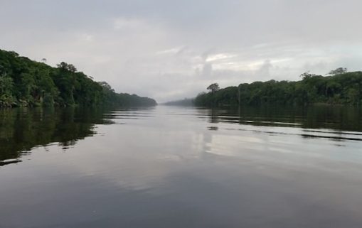 bassin congo