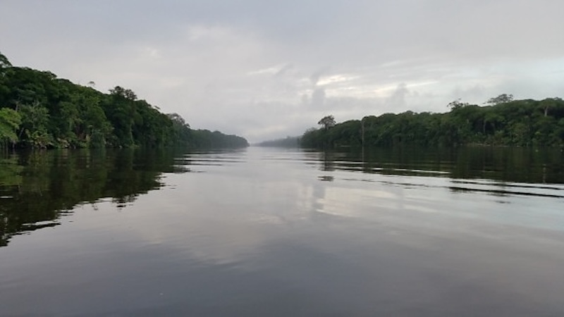 bassin congo