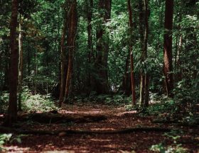 imat bagja gumilar jwTvCQQJXh0 unsplash