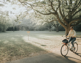 velo2
