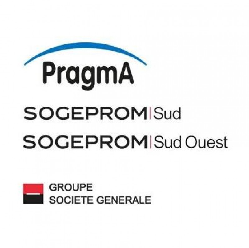 Logo pragma