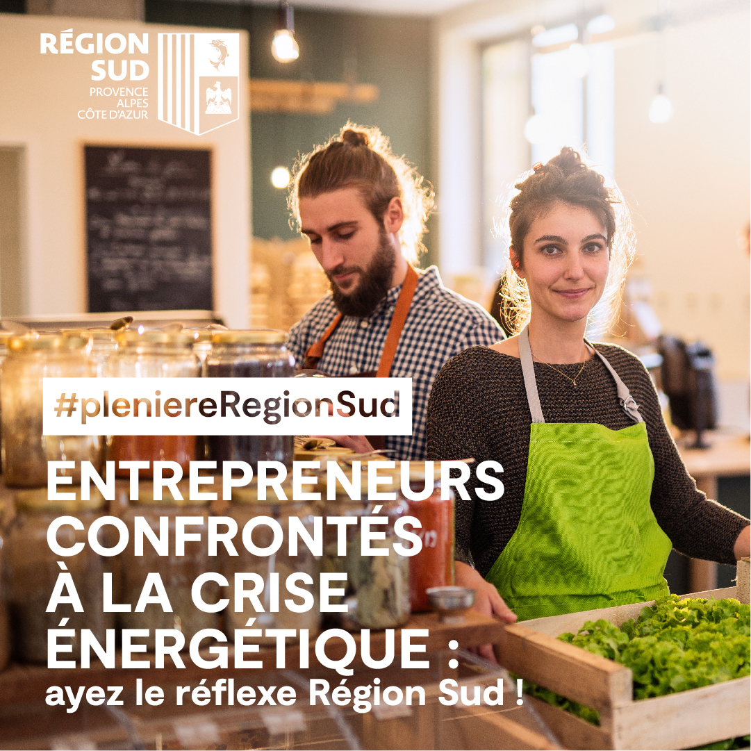 assemblée pleniere region sud
